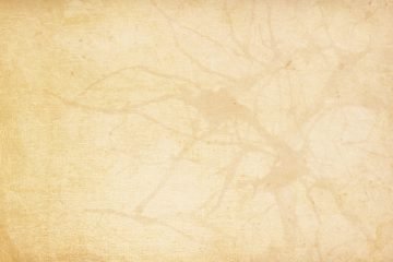 להעמיק בדרך היוגה – מפגשי העמקה שנתיים